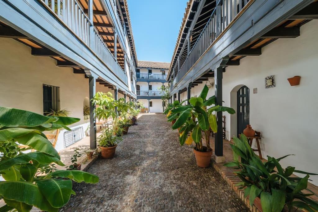 New Apartment In Traditional Building Of The XVI Century 세비야 외부 사진