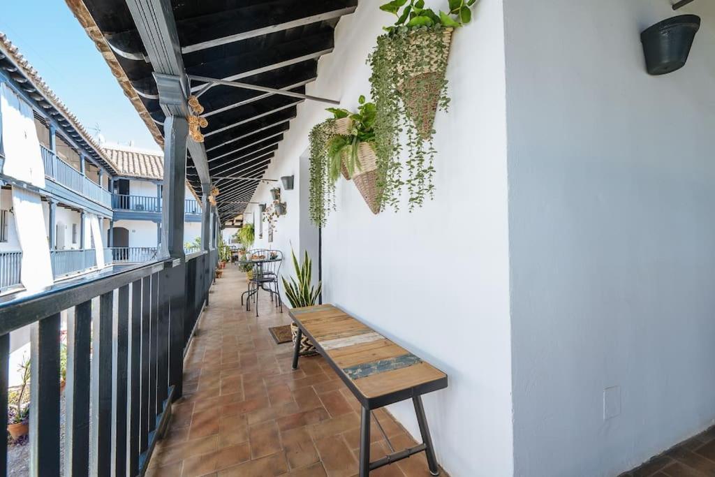 New Apartment In Traditional Building Of The XVI Century 세비야 외부 사진